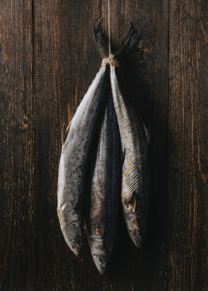 Después de la pesca