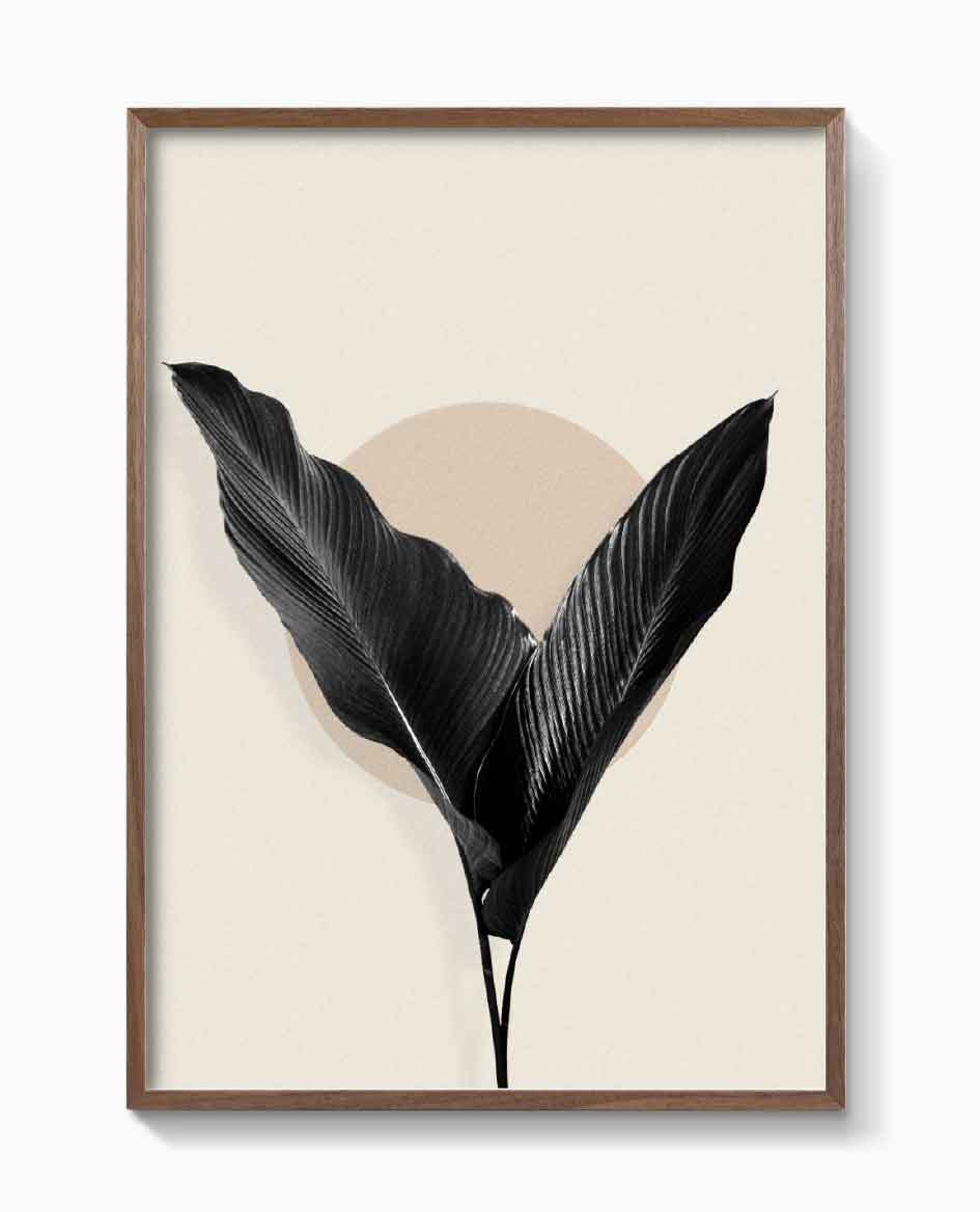 BLACK PALM