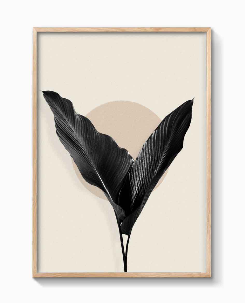 BLACK PALM