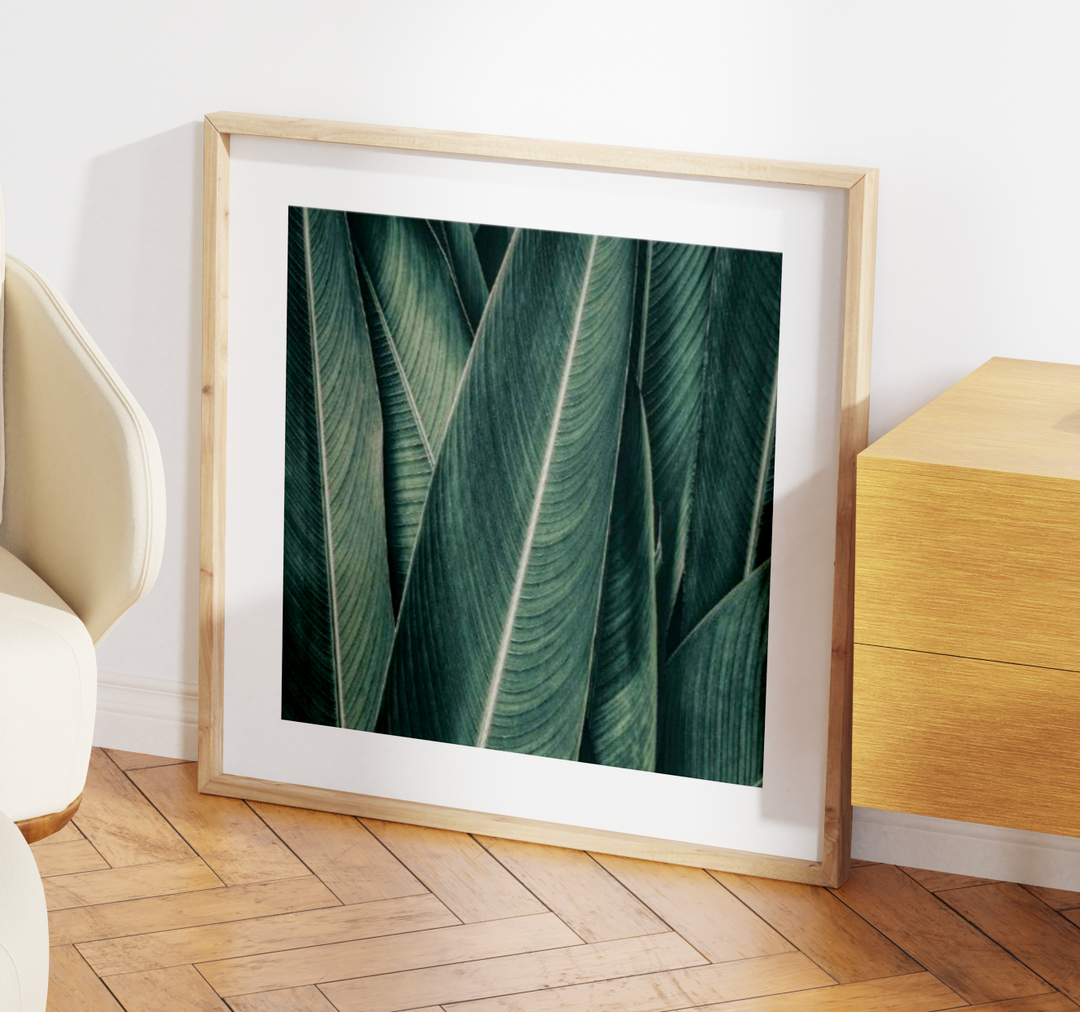 PLANTAS NO3
