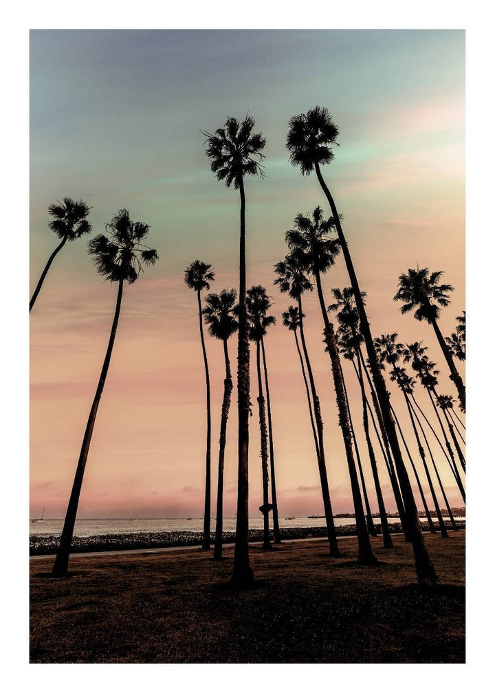 Cuadro-SANTA MONICA-Studio Malek