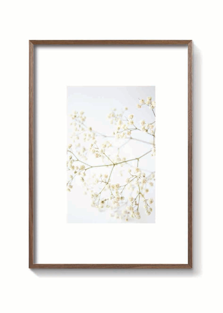 DRY CLOUD FLOWER