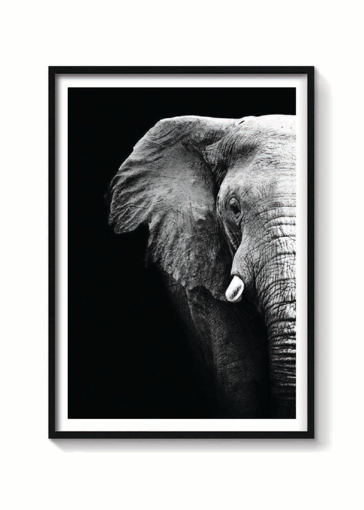 ELEFANTE