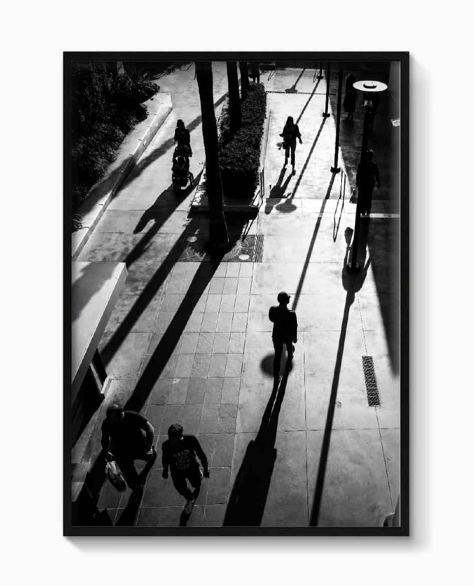 HOLLYWOOD SHADOWS