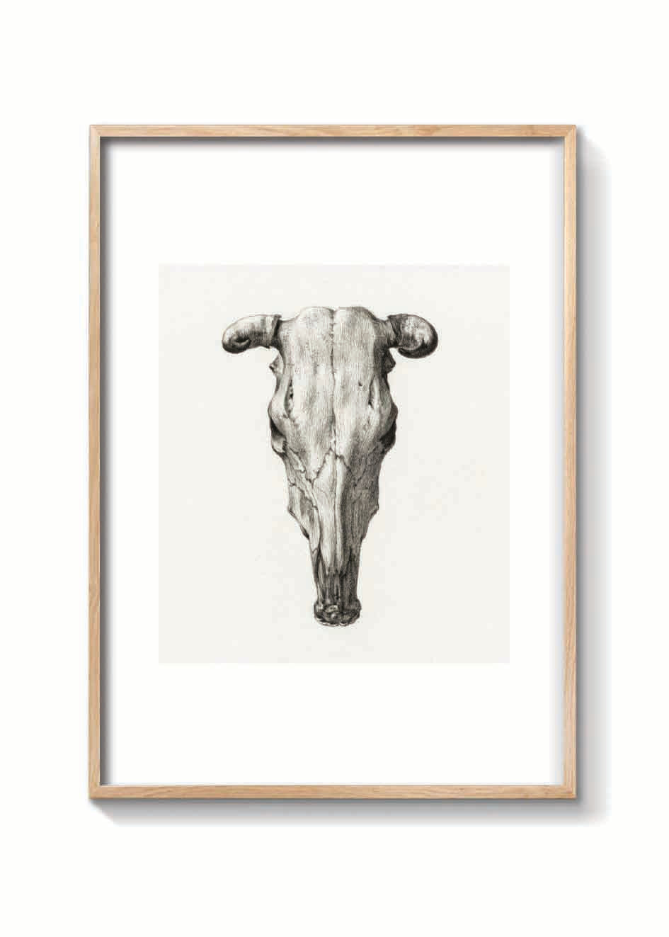 SKULL